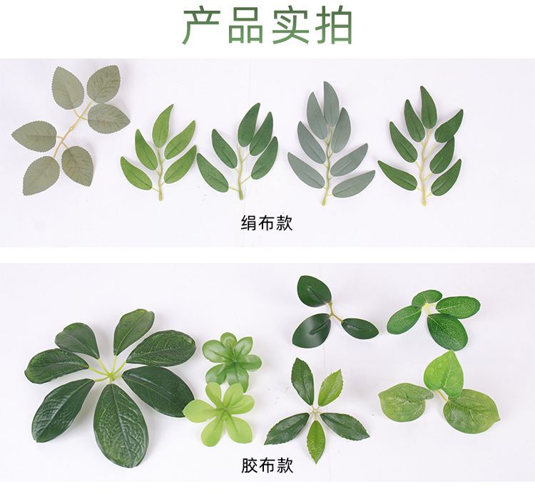 水果葉子
