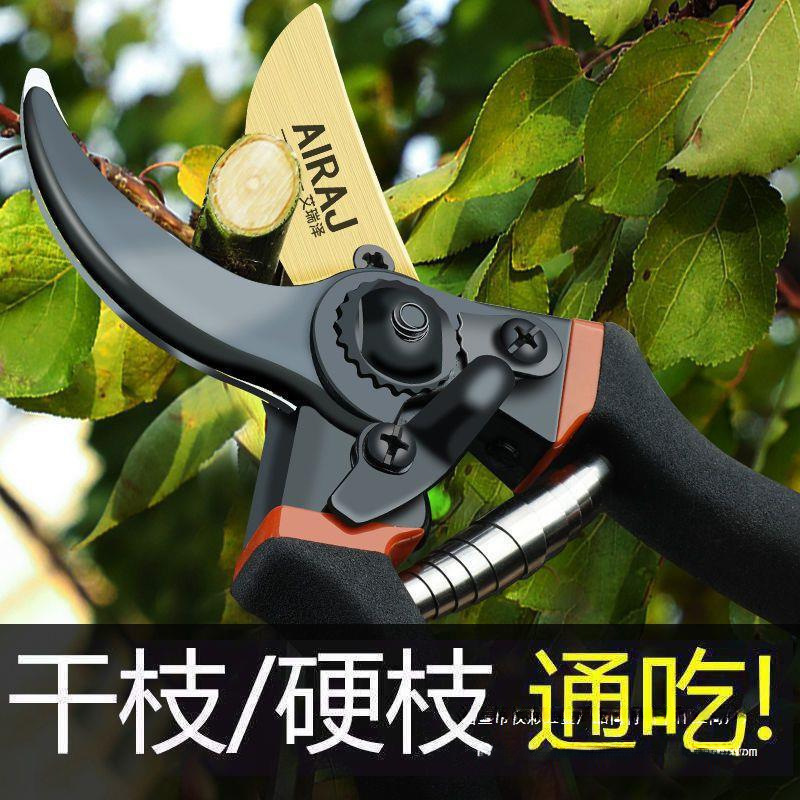 艾瑞泽果树修枝剪刀粗枝省力花艺剪园林园艺修花树枝剪子家用包邮