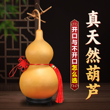 ��Ȼ���J�[�����^�_����ľ���J�T���T�����Ї��Y�͏d���P��̖����