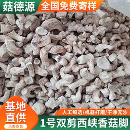 源头工厂活动1号严选双剪西峡香菇脚香菇腿25KG冬菇柄食品厂专用