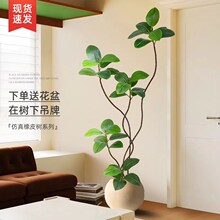 ��Ƥ�����Gֲ�͏d�߼���ؔ[���҃ȴ��ͷ������Լ�ֲ���b仨