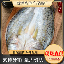 ���|�~�_�����l���r���������|�~���~�R�~���rˮ�a���~����