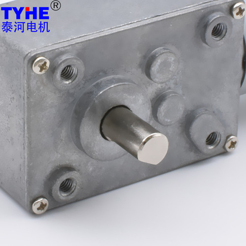 Worm Gear DC Reducer Motor 12V/24V High Torque Low Speed Speed Regulating Motor Mini Forward and Reverse Slow Speed Self-Locking