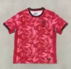 24-25 South Korea home