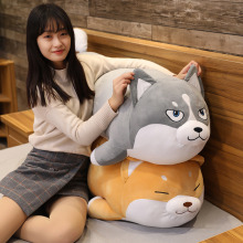 ܛ�Ȳ�Ȯ����ë�q��߹�ʿ�湫�Ѓ�ͯ��ż����˯�X����������Ů��