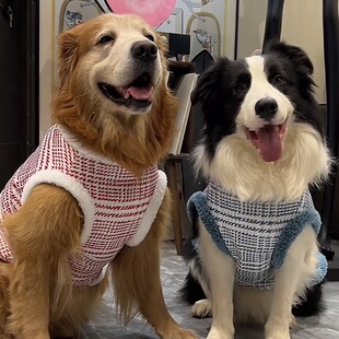 ��ë�·�����Ӻ�ůС���L�󹷹�ʿ���_ĦҮ�����·��д���Ȯ