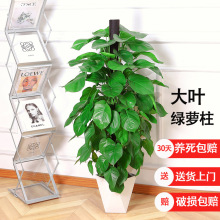 ���~�G�}�����Կ͏d�����҃ȾGֲ�������՚��_�I�ļ����ೣ�G