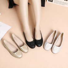 2022�����¿�TB��ЬŮ���e�A�^ܛƤܛ����ЬŮ�����IưЬ