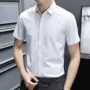 短袖弹力抗皱免烫衬衣