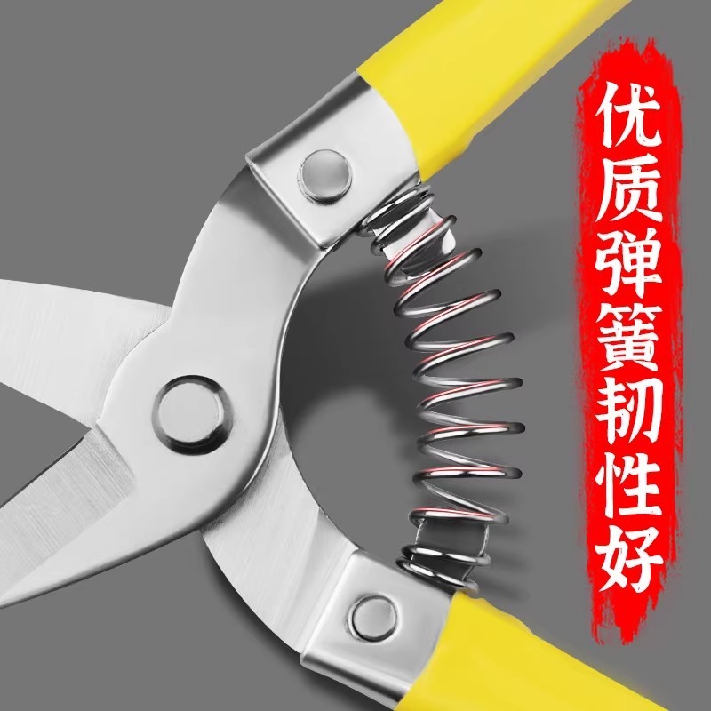 亚马逊园艺修枝剪刀园林修花盆栽摘果专用果园柑橘摘葡萄罗定果剪|undefined
