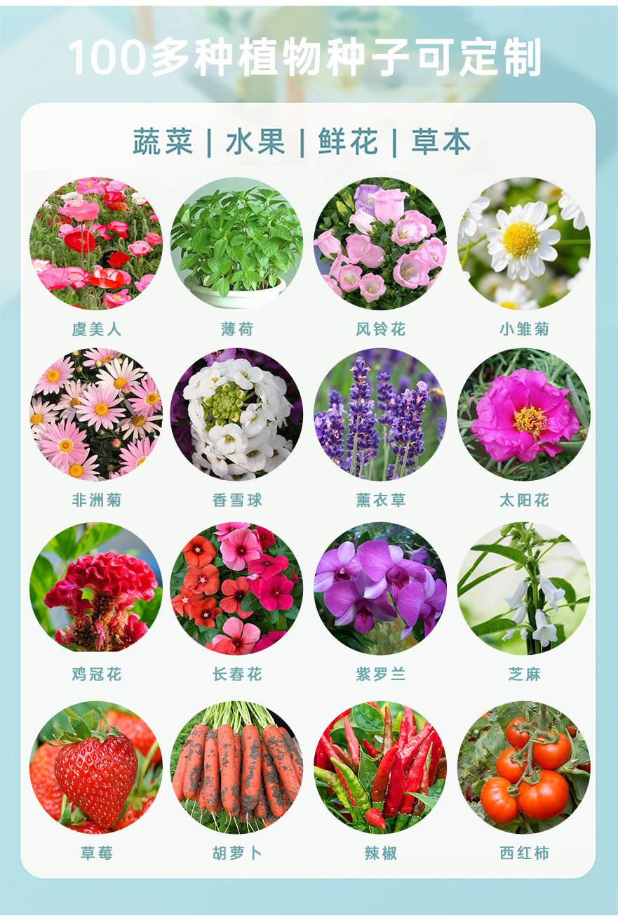 种子纸(原纸)_05