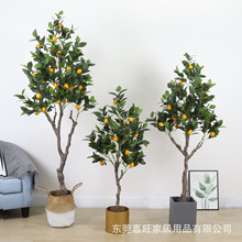 ����Gֲ�҃ș��ʼ٘䱱�Wins�͏d����������Ԕ[���b�ֲ�ﻨ