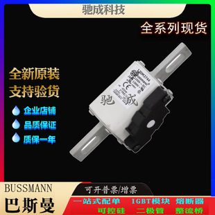 Bassman 170 M3 744 170 M3 745 170 M3746 brand direct sales wholesale special fuse