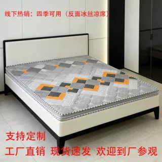 工厂天然3e环保椰棕床垫出租房家用卧室夏天儿童老人两用厚8厘米