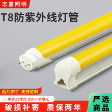 LED�����⾀���܏S�ҬF؛�����o�m܇�g������o�{���S�⿹UV����