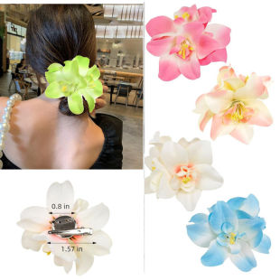 INS�羳��Ʒ3���m���l�A�����ׁ���߅�ȼ��^��߅�A�W������l�Ů