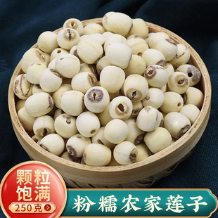 ɏ�����ں�����̶ɏ�ӟoоɏ���ֹ�ȥƤɏ����ɏ��Ʒ��ɏ�ןo��