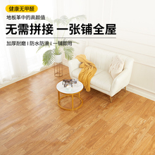 3.5米宽地板革地毯家用卧室客厅整铺耐磨地垫大面积全铺