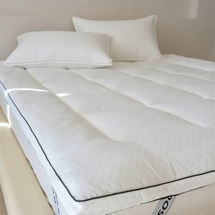 Student Dormitory Mattress Cushion Bedroom Tatami Soft Mattress Thick Mattress Super Soft Mattress Cushion Bottom Wholesale