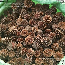 2-14CM��Ȼ�ɹ������}�Q�b�Ʒ�[���׃��@�ֹ�diy�����ɘ����ɻ�
