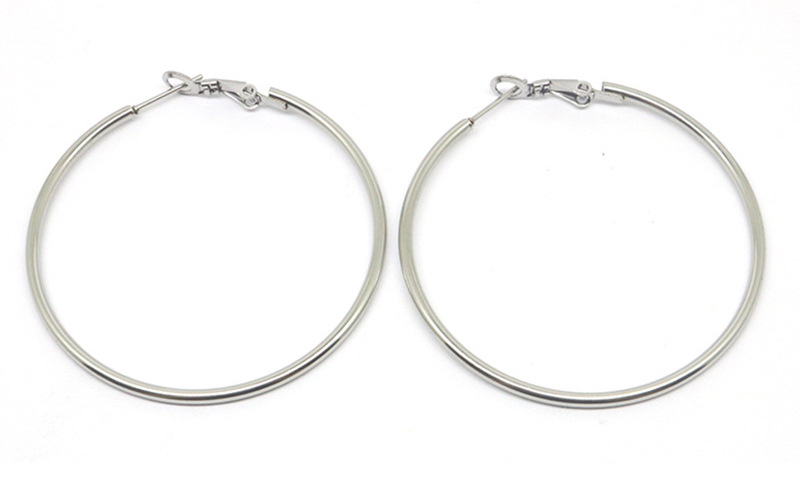 1 Pair Simple Style Geometric Plating Stainless Steel Earrings display picture 6