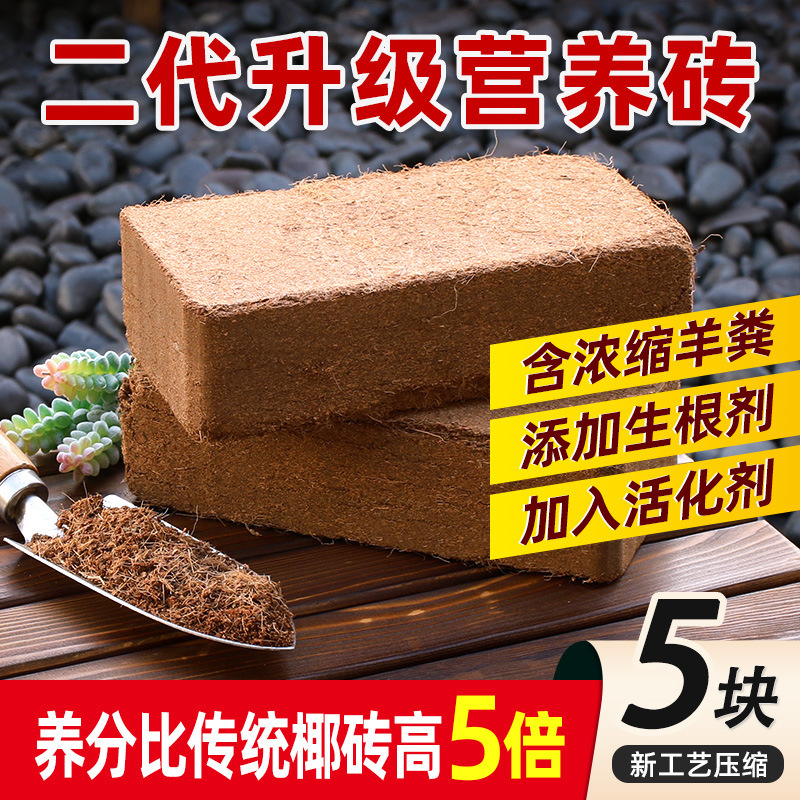 [신규 압축공정] 고영양 영양벽돌 5개 (멋진 신제품)