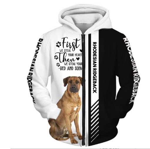 2023 cross-border Amazon new men's scuba diving 3D hooded vests spring and autumn casual zipper hooded vests