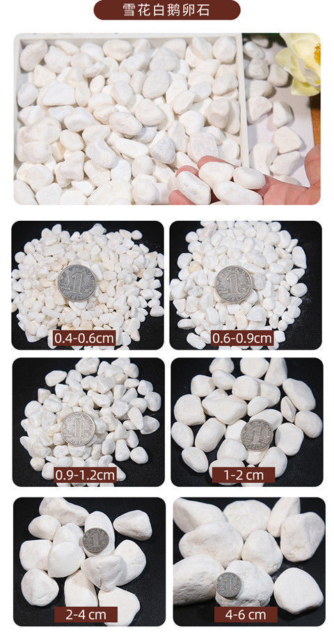 a353ad23-eb8d-4759-b7b7-921e81ee3ae9.jpe