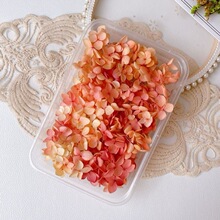 ����Ę�ϊy���N�������y�ɻ��NĘ�Ʒ����y������Ӱ�ǌ�����ֱ�N