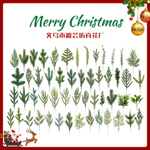 ����ֲ����� �羳�����}�Q���}�QȦ�bGֲ��������������֦