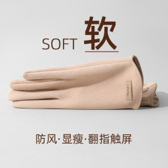 Ladies' New Winter Fleece Driving, Shopping, and Cycling Gloves - Versatile, Windproof, Touchscreen, Fleece Lined, Warm, Wholesale