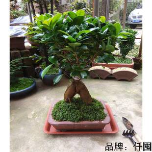 �˅��Ř��辰С�~���ļ������Ř����͘䘶�辰���҃ȶU�����ԾGֲ