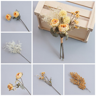 ���滨�������SɫϵDIY���� �Ҿ��b�Y�Ƶ��̄�ܛ�b�ٻ����N