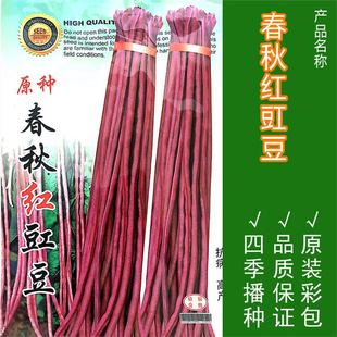 ����t�����N�����L���ǷN�Ѹ߮a�ܶ��ϼt�L���㶹�͟��ļ����߲�