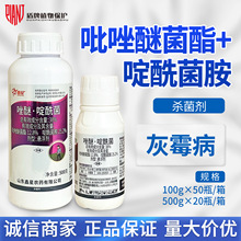 ����  38%�����Ѿ���&middot;����������ѻ�ù���r����Ʒ�rș������