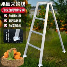 ���@��ժ�๦�����_�Ƅӈ@�����ӱ�y���È@ˇ�޼��G��������