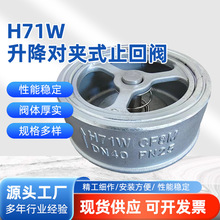 不锈钢蝶式止回阀 对夹式止回阀蝶形止回阀单向阀逆止阀DN100