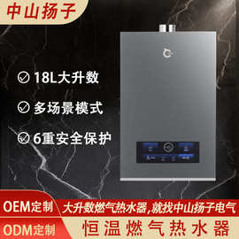 跨境燃气热水器18升大升数家用天然气洗澡恒温强排式速热水器即热