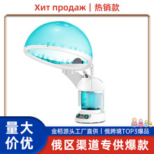 跨境爆款金稻蒸发帽焗油蒸脸器补水仪热喷雾机美容仪器美容院专用