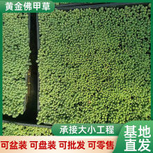 ���Rֲ�����A�����ײ��\�I���D���㲻������еÓQ���΂�ע