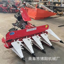 ����������178늆��Ӹ��C�Ўׂ���̖С�����CС�؉K�����C