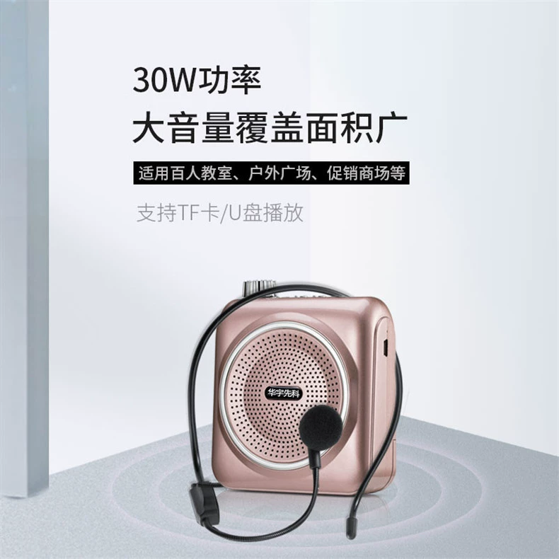 Хуа Ющенко T300 маленькая пчела мини-карта радио динамик портативный учитель наружный специальный громкоговоритель