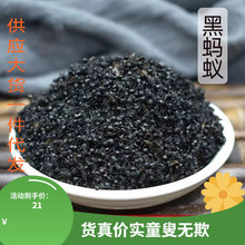 野生黑蚂蚁干500g正品天然养生中药材泡酒纯长白山大黑蚂蚁不打粉