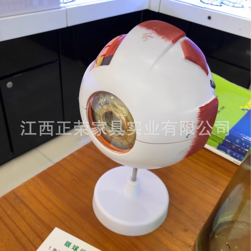 幼儿园科学探索实验器材教具发现室益智玩具中小学科技馆科普stem|undefined