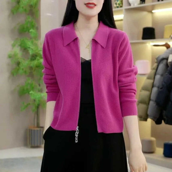Polo Neck Knitted Cardigan Women's Autumn Short Zipper Sweater Coat Design Niche Loose Top