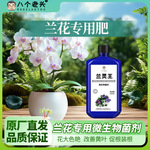 厂家供应八个老头兰灵王兰花专用营养液肥料EM菌君子兰科蝴蝶兰墨