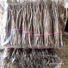 ��ɹС����500�˺����ɻ����Ǻ�����1�����������ݾƺ����۴���