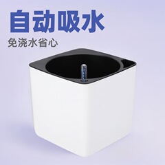 メーカー卸売怠惰な植木鉢自動吸水性ポトス鉢植え屋内クリエイティブ厚みのあるプラスチック製無水やり正方形鉢
