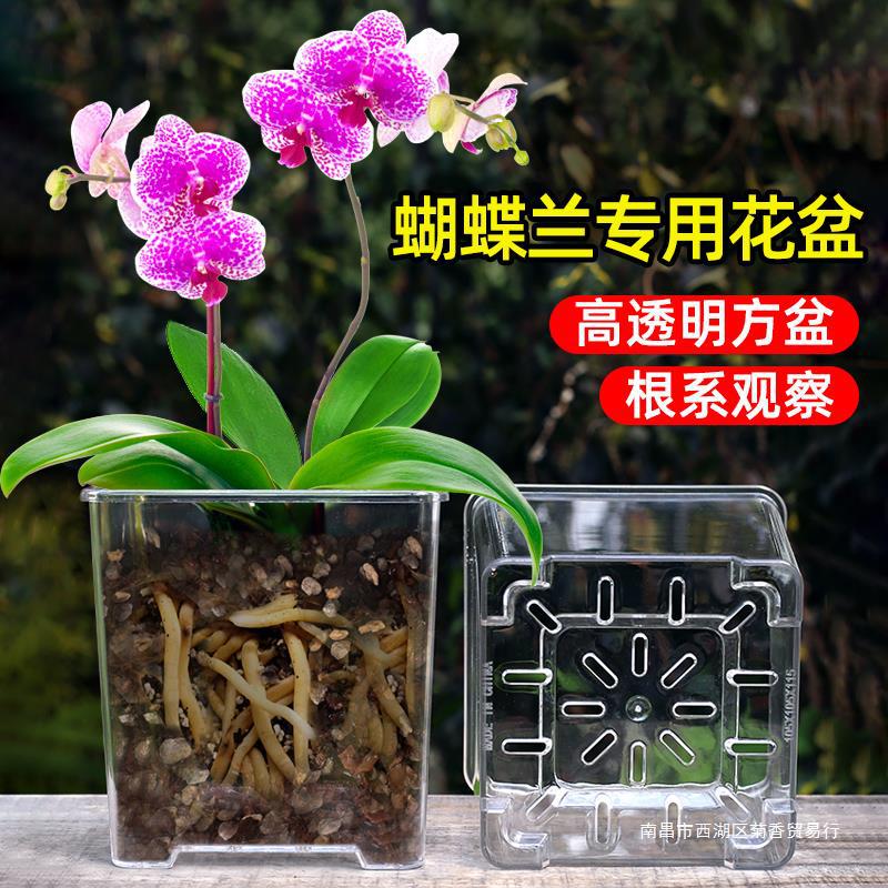 亚克力玻璃方形透明花盆塑料种植盆向日葵蝴蝶兰花盆家用套盆