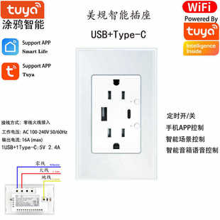 Tuya Smart Taiwan American Standard Wall Touch Switch Socket Mobile App Timing Googlehomea New Model
